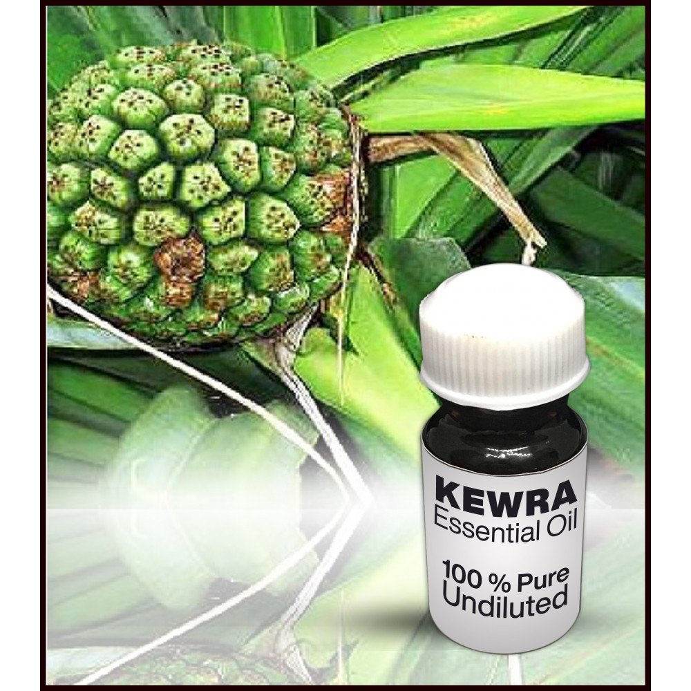 buy-kewra-essential-oil-navkaarcreation-spritual