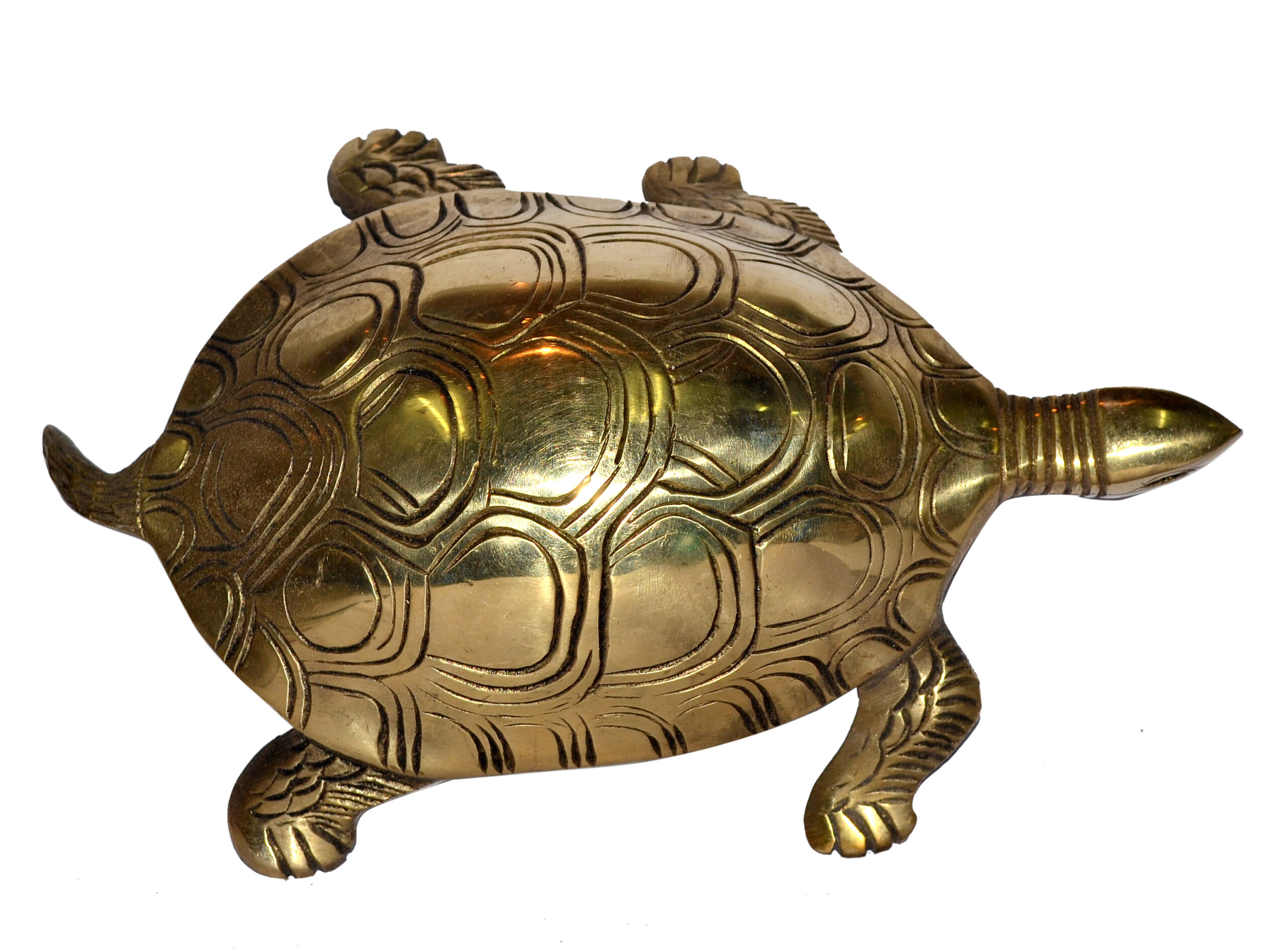 Tortoise In Brass