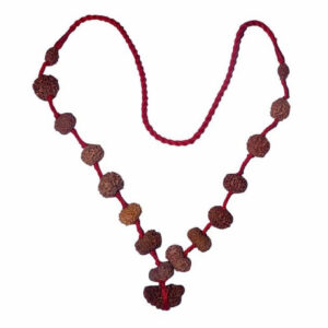 Rudraksha Siddha Mala (1-14 Mukhi) Indonesian (Java) Small 12-14mm Thread