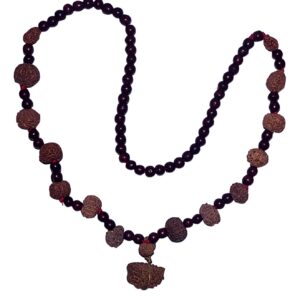 Rudraksha Siddha Mala (1-14 Mukhi) Indonesian (Java) Small 12-14mm Sandlewood