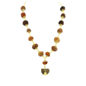Rudraksha Siddha Mala (1-14 Mukhi) Indonesian (Java) Small 12-14mm Gold Plated
