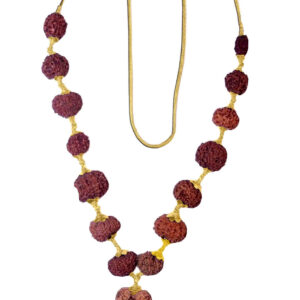 Rudraksha Siddha Mala (1-14 Mukhi) Indonesian (Java) Small 12-14mm Gold Plated