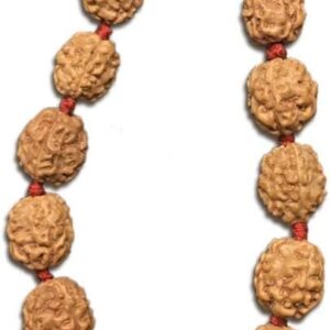 4 Mukhi Indonesian Thread Adjustable Bracelet 9mm-10mm Lab Certified