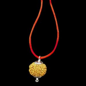8 Mukhi Rudraksha Pendant from Nepal 26mm-28mm Lab Certified Original Geniune 100% Natural, Collector(26mm-28mm), Others