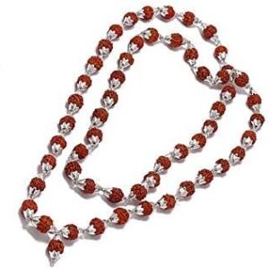 5 Mukhi Indonesian Rudraksha Mala 54 Beads in Silver (7mm-9mm) Lab Certified