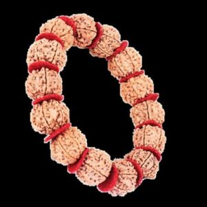 6 Mukhi Rudraksha Bracelet Nepal Beads 14 Pcs Adjustable Thread Bracelet Lab Certififed 20mm-22mm