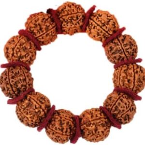7 Mukhi Rudraksha Bracelet Nepal Beads 12 Pcs Adjustable Thread Bracelet Lab Certified 22mm-24mm