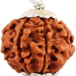 7 Mukhi Nepal Rudraksha Seven Face Goddess Laxmi Pure Silver Pendant Laboratory Certified Real Pearl 22 mm - 24 mm Rudraksha