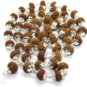 8 Mukhi Indonesian Rudraksha Mala 54 Beads in Silver 10mm-11mm Lab Certified