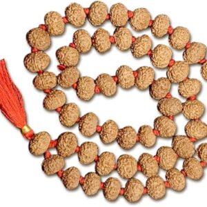 8 Mukhi Indonesian Rudraksha Mala 54 Beads 13mm-14mm Lab Certified