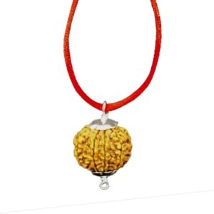Ashtamukhi 8 Mukhi Rudraksha Pendant Original Certified Nepali Bead 8 मुखी रुद्राक्ष पेंडल for Wearing Men & Women
