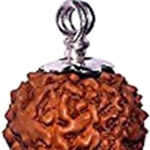 7 Mukhi Rudraksha from Indonesia 16mm-18mm Silver Pendant Lab Certified