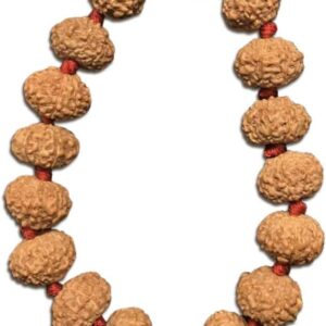 8 Mukhi Indonesian Thread Adjustable Bracelet 9mm-10mm Lab Certified.