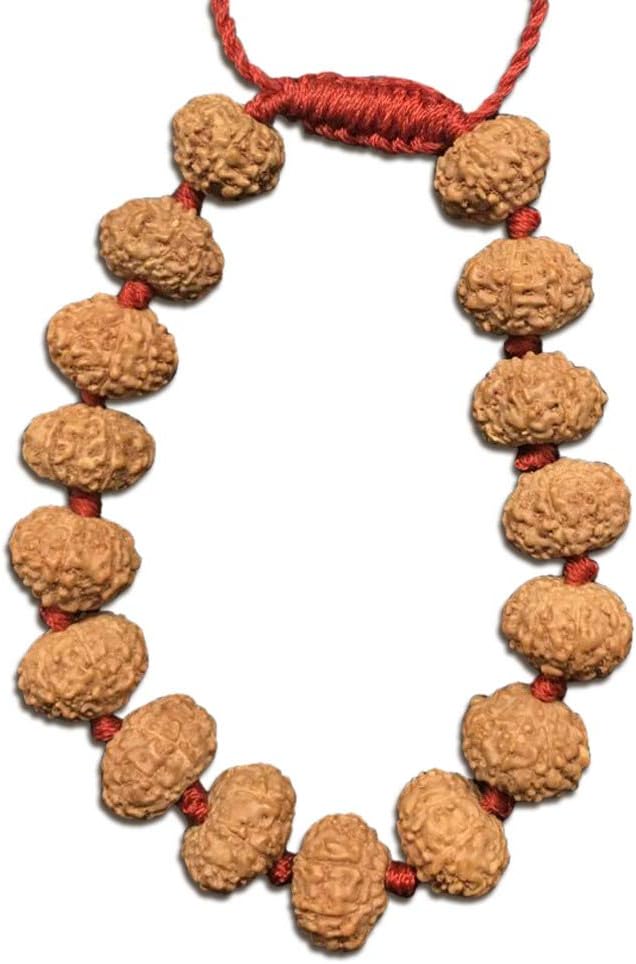 8 Mukhi Indonesian Thread Adjustable Bracelet 9mm-10mm Lab Certified.