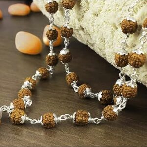 10 Mukhi Rudraksha From Nepal 26mm-28mm Silver Rudraksha Mala IGL Lab Certified Original Geniune 100% Natural.