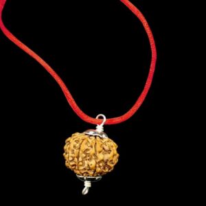 10 Mukhi Rudraksha Pendant from Nepal 28mm-30mm IGL Lab Certified Original Geniune 100% Natural