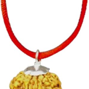 8 Mukhi / 8 Faced Original Spiritual Quality Nepal Rudraksha Beads by Lab Certified 20mm-22mm