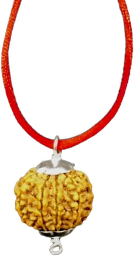 8 Mukhi / 8 Faced Original Spiritual Quality Nepal Rudraksha Beads by Lab Certified 20mm-22mm