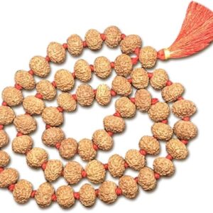 9 Mukhi Indonesian Rudraksha Mala 54 Beads 13mm-14mm Lab Certified