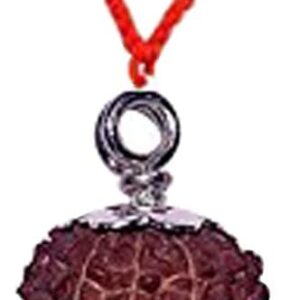 8 Mukhi Rudraksha from Indonesia 18mm-20mm Silver Pendant Lab Certified
