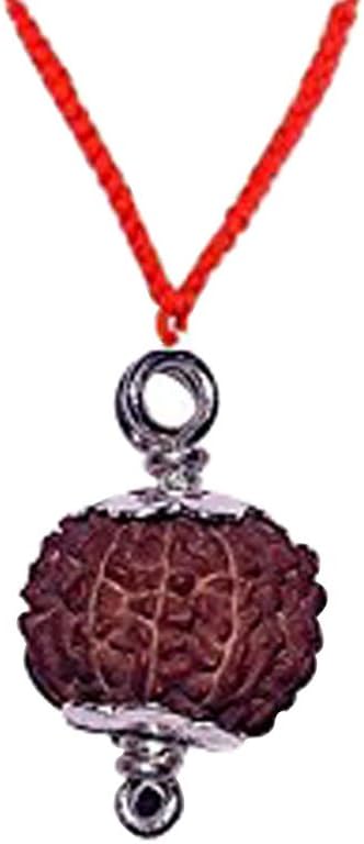 8 Mukhi Rudraksha from Indonesia 18mm-20mm Silver Pendant Lab Certified