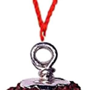 11 Mukhi Rudraksha from Indonesia 18mm-20mm Silver Pendant Lab Certified