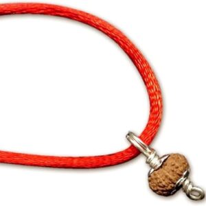 12 Mukhi Indonesian Rudraksha/Twelve Face Java/Lord Surya In Pure Silver Pendant IGL Certified 100% Original Geniune Bead All Size