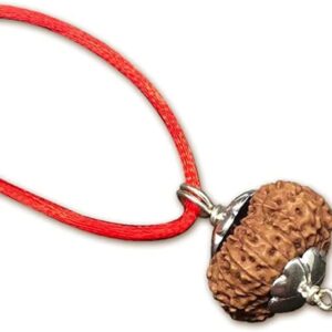 13 Mukhi Indonesian Rudraksha/Thirteen Face Java/Lord Kamadeva In Pure Silver Pendant IGL Certified 100% Original Geniune Bead All Size (Rare 22mm-24mm)