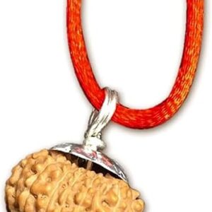 13 Mukhi Indonesian Rudraksha/Thirteen Face Java/Lord Kamadeva In Pure Silver Pendant IGL Certified 100% Original Geniune Bead 12-14mm