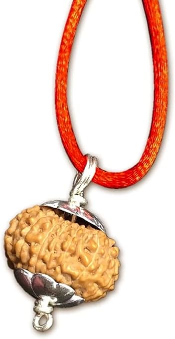 14 Mukhi Indonesian Rudraksha/Fourteen Face Java/Lord Hanuman In Pure Silver Pendant IGL Certified 100% Original Geniune Bead All Size