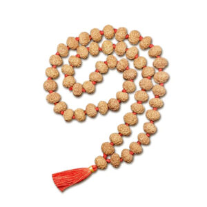 7 Mukhi Indonesian Rudraksha Mala 54 Beads (12mm-14mm)