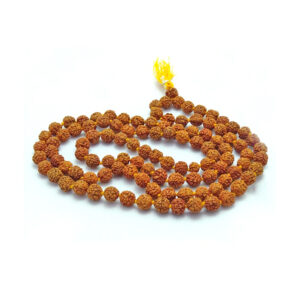Rudraksha Japa Mala 108 Beads