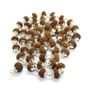 10 Mukhi Indonesian Rudraksha Mala 54 Beads In Silver