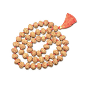 9 Mukhi Indonesian Rudraksha Mala 54 Beads (12mm-14mm)