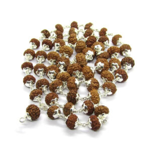 9 Mukhi Indonesian Rudraksha Mala 54 Beads In Silver