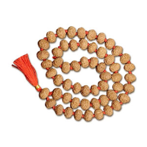 8 Mukhi Indonesian Rudraksha Mala 54 Beads (12mm-14mm)