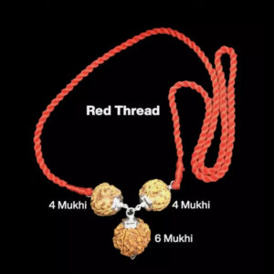 Rudraksha Combination for Students 4,4,6 Mukhi Nepal In Thread