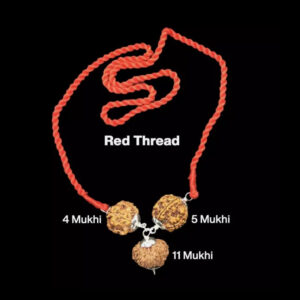 Rudraksha Combination for Hanuman Power 4,5,11 Mukhi Nepal In Thread