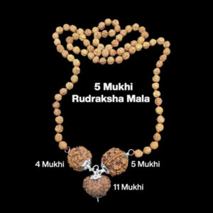 Rudraksha Combination for Hanuman Power 4,5,11 Mukhi Nepal In Rudraksha Mala