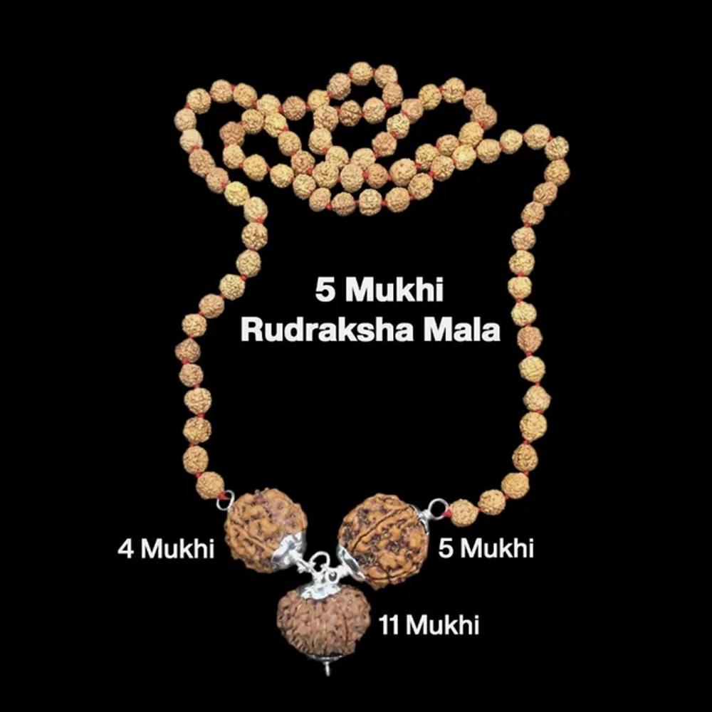 Rudraksha Combination for Hanuman Power 4,5,11 Mukhi Nepal In Rudraksha Mala