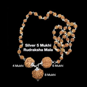 Rudraksha Combination for Advocates 4,6,8 Mukhi Nepal In Silver Mala