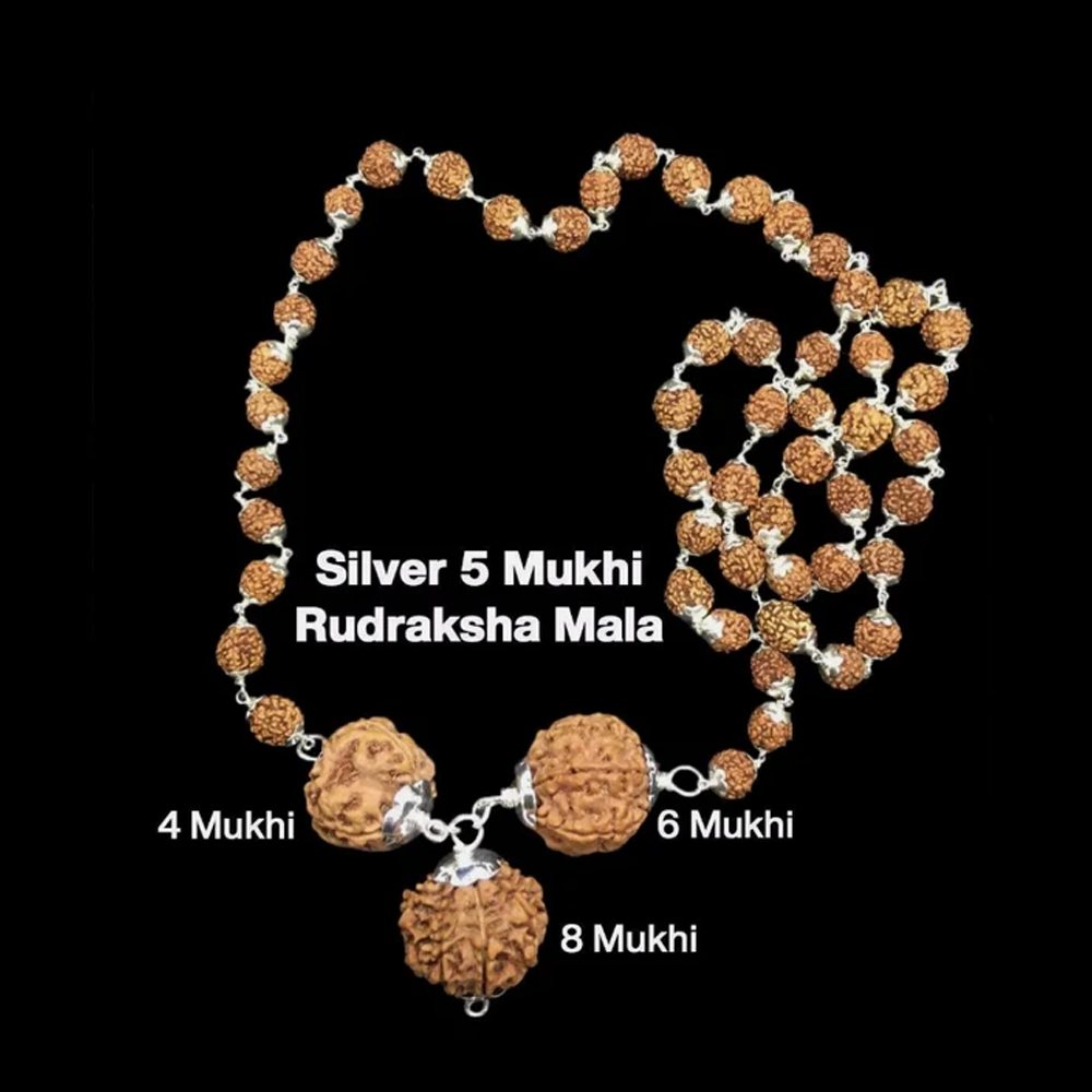 Rudraksha Combination for Advocates 4,6,8 Mukhi Nepal In Silver Mala