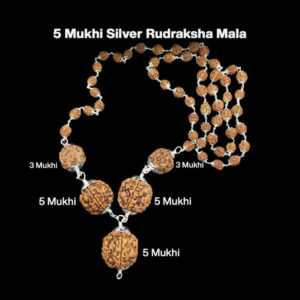 Rudraksha Combination for Health Power 3,3,5,5,5 Mukhi Nepal In Silver Rudraksha Mala