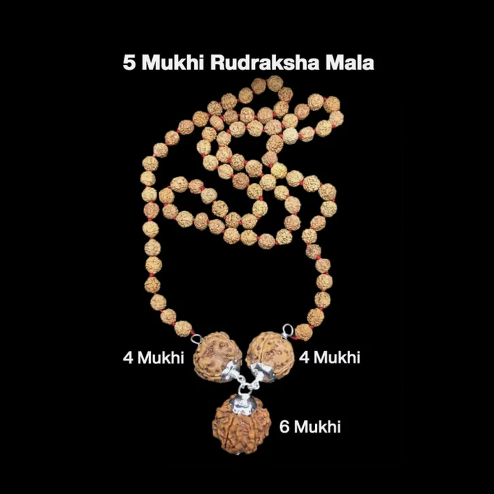 Rudraksha Combination for Students 4,4,6 Mukhi Nepal In Rudraksha Mala