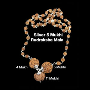 Rudraksha Combination for Hanuman Power 4,5,11 Mukhi Nepal In Silver Rudraksha Mala