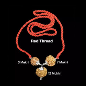 Rudraksha Combination For Career 3,7,12 Mukhi Nepal In Thread