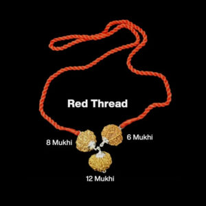 Rudraksha Combination for Business 6,8,12 Mukhi Nepal In Thread