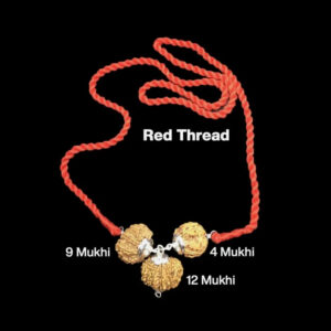 Rudraksha Combination for Doctors 4,9,12 Mukhi Nepal In Thread