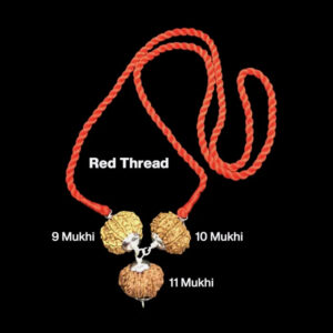 Rudraksha Combination for Total Protection 9,10,11 Mukhi Nepal In Thread