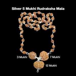 Rudraksha Combination for Career 3,7,12 Mukhi Nepal In Silver Mala
